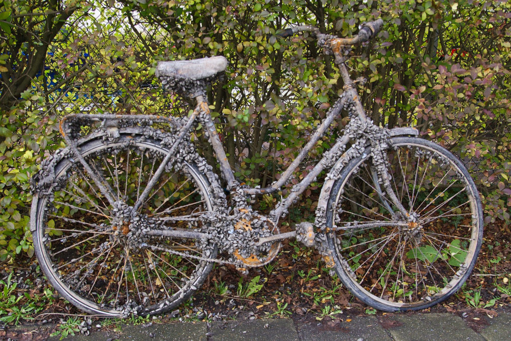 Bicycle-Friendly-Amsterdam3